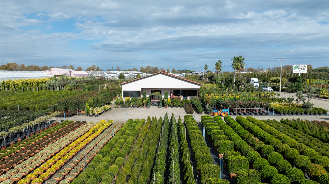 Vibrant nursery scene in Yalova, Türkiye with rows of plants under clear skies.
