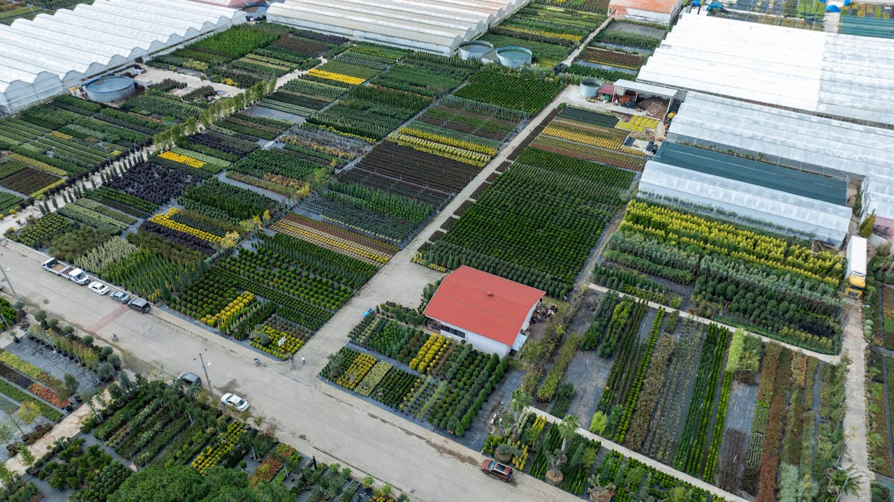 Aerial view of nursery fields and greenhouses in Yalova, Türkiye.