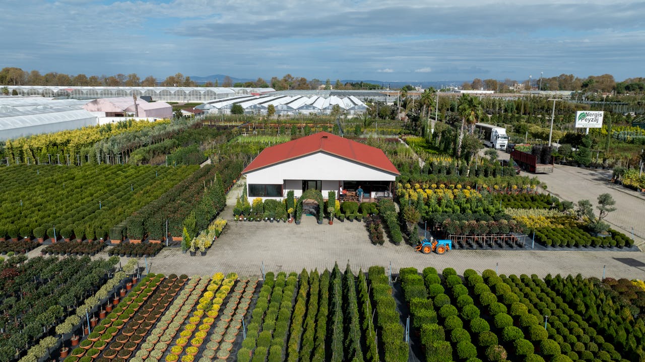 Aerial view of a vibrant garden center with greenhouses and plants in Yalova, Türkiye.
